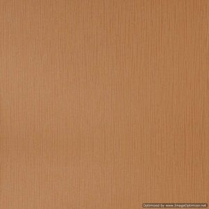 Tapeta Ścienna Brązowa BEZ WZORU 10m x 53 cm RASCH