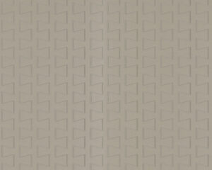 TAPETA WINYLOWA NA FLIZELINIE BEŻOWO SZARA 8850-36 AP 1000 Porsche Design
